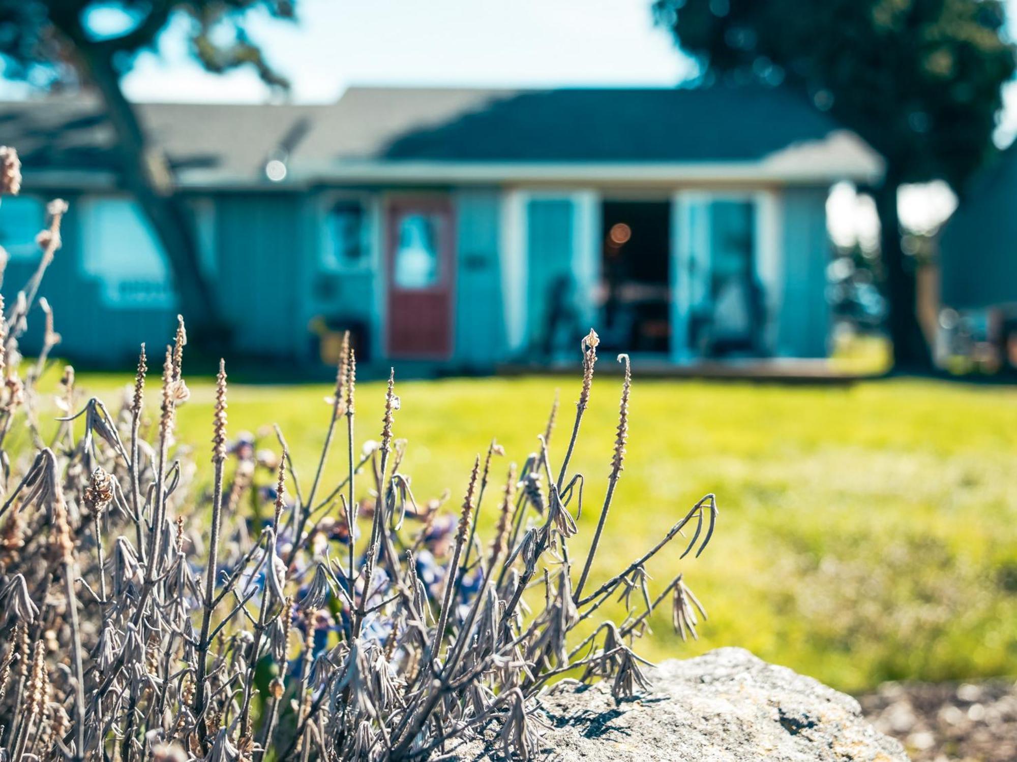Dungeness Bay Cottages Sequim Exterior foto